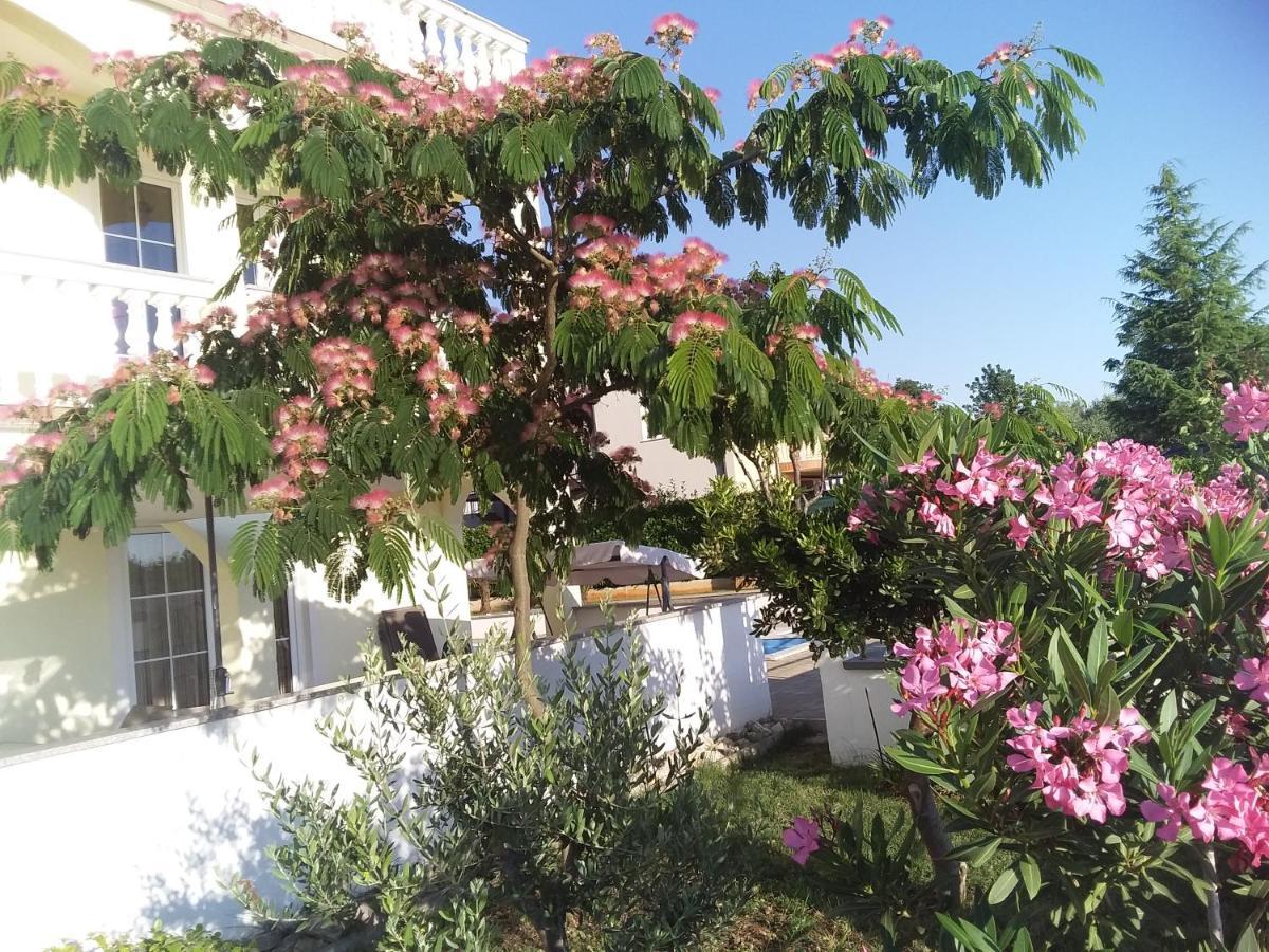 House Apartments Ariamare Poreč Eksteriør billede