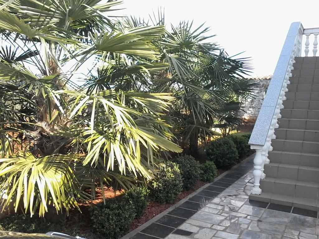 House Apartments Ariamare Poreč Eksteriør billede